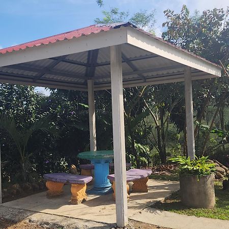 Cabinas El Pilon Rio Celeste Εξωτερικό φωτογραφία