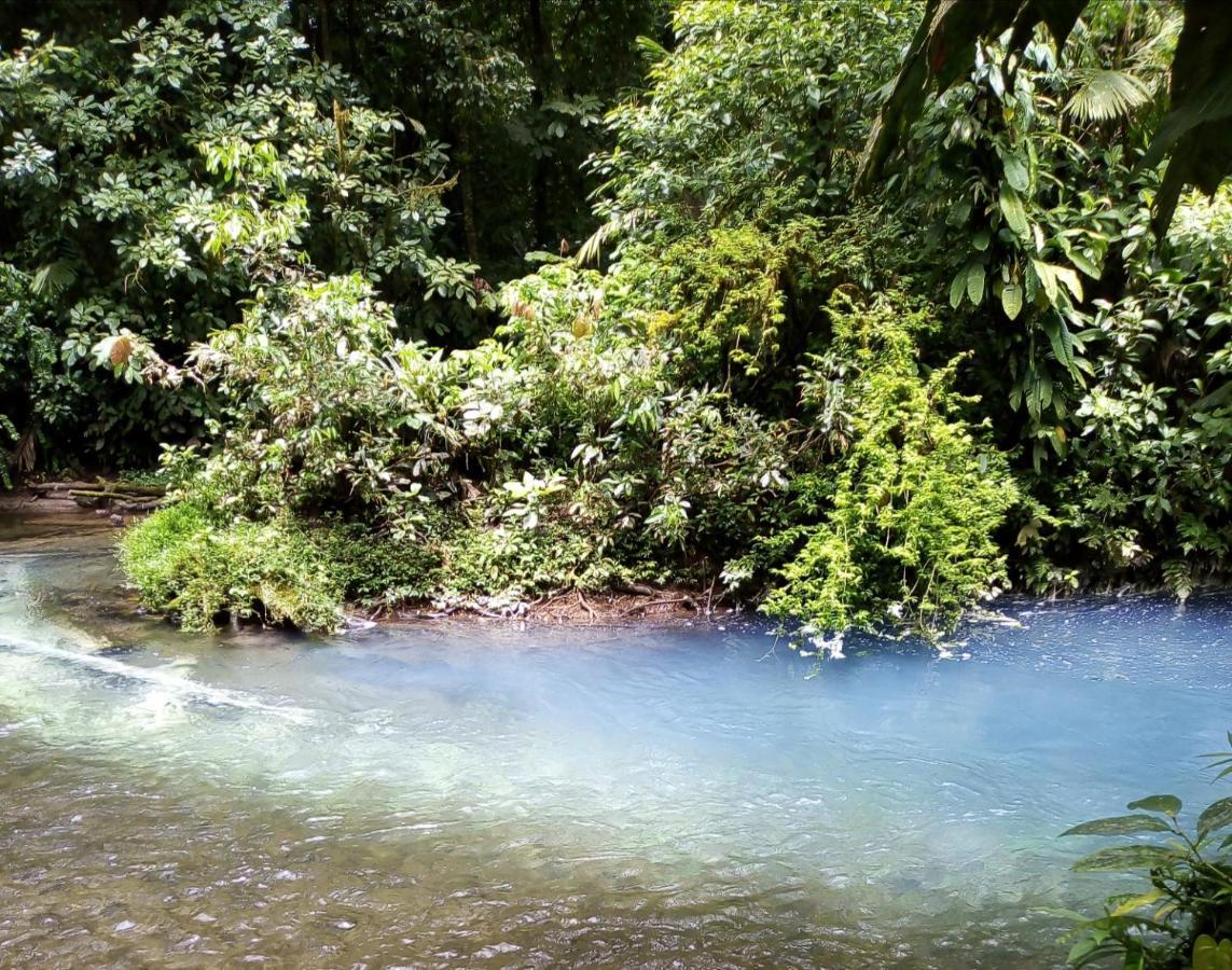 Cabinas El Pilon Rio Celeste Εξωτερικό φωτογραφία
