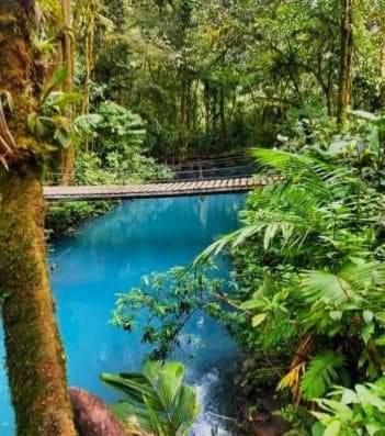 Cabinas El Pilon Rio Celeste Εξωτερικό φωτογραφία
