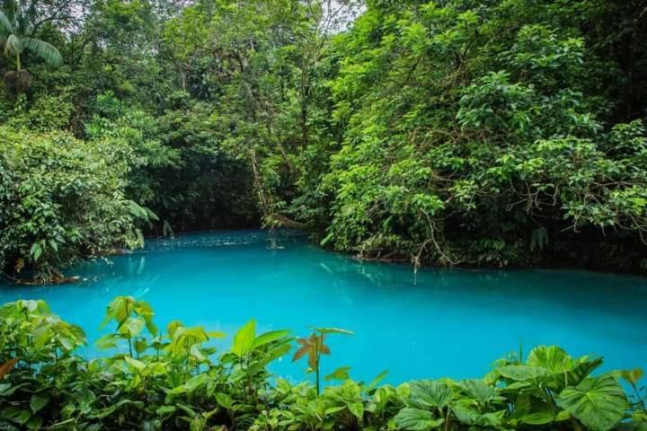 Cabinas El Pilon Rio Celeste Εξωτερικό φωτογραφία