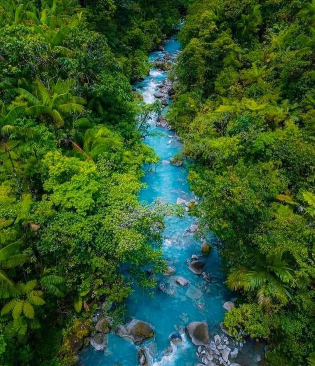Cabinas El Pilon Rio Celeste Εξωτερικό φωτογραφία