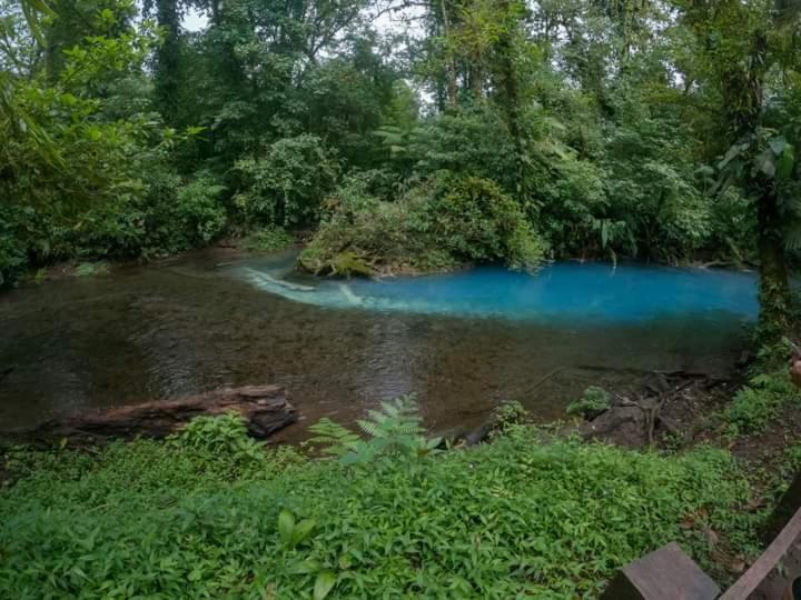 Cabinas El Pilon Rio Celeste Εξωτερικό φωτογραφία