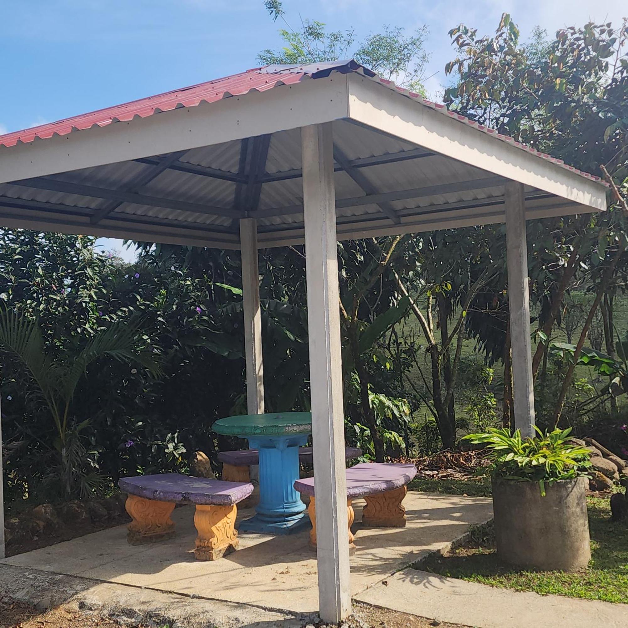Cabinas El Pilon Rio Celeste Εξωτερικό φωτογραφία
